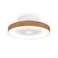 Ventilateurs de plafond